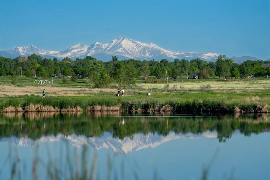 Wildlife removal in Longmont, CO — Boulder Wildlife Solutions service area