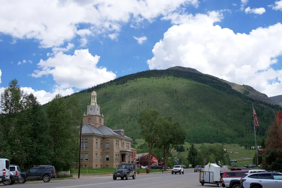 Wildlife removal in Louisville, CO — Boulder Wildlife Solutions service area